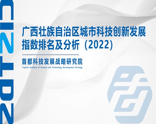 红桃视频吊逼【成果发布】广西壮族自治区城市科技创新发展指数排名及分析（2022）